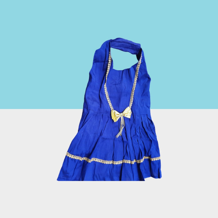 Blue Festive Dress for Dogs