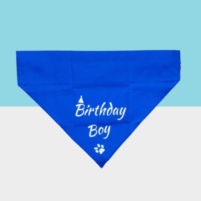 Birthday Boy Bandana Blue