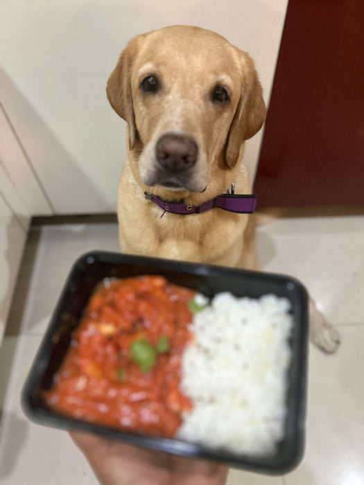 Butter Chicken Ghee Jeera Rice Bowl