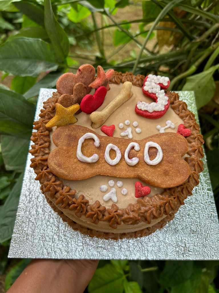 Dog Treats Dog Friendly Cake Recipe Easy Homemade Liver Treats