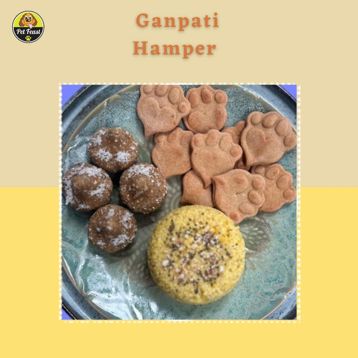 Petfeast Ganpati Treats Box (Only For Pune)