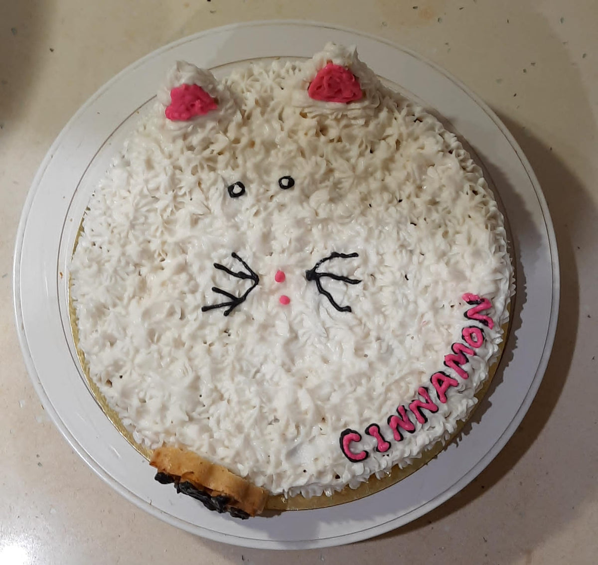 Cat Cake – Sweetened Memories Bakery