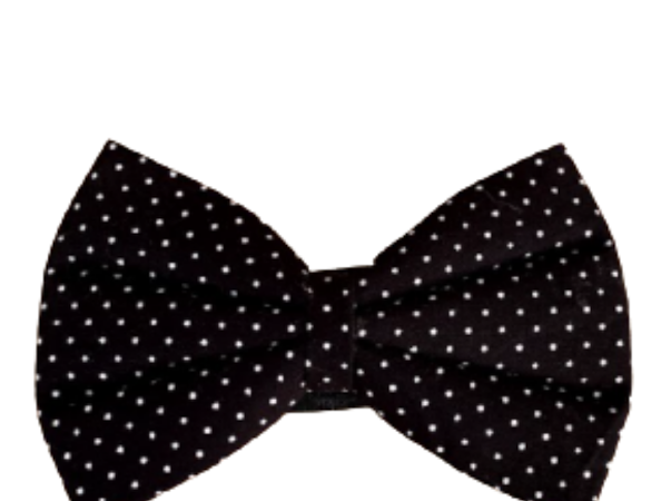Polka Dots Printed Bow Tie