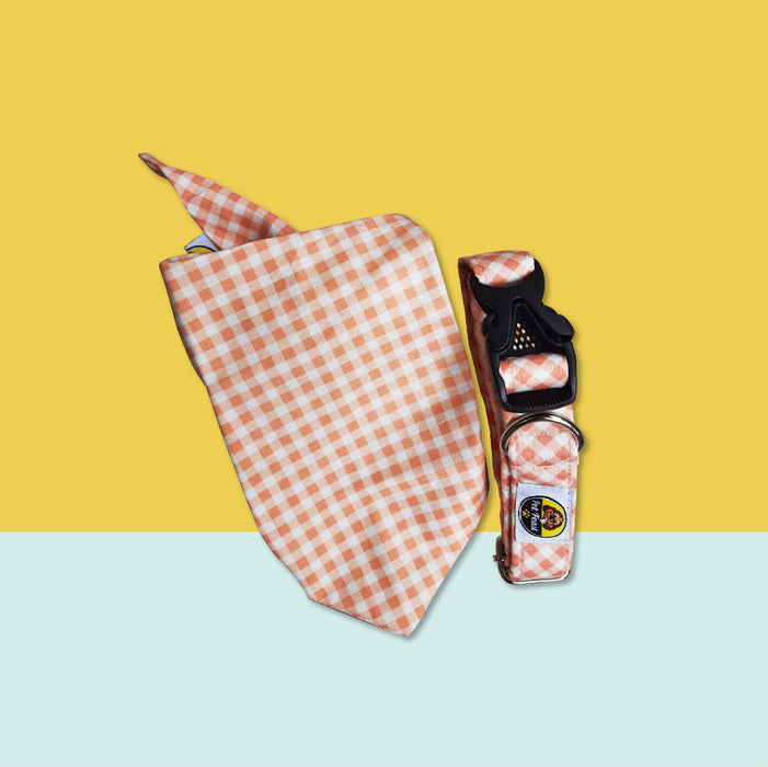 Peach Checkered Collar & Bandana Set