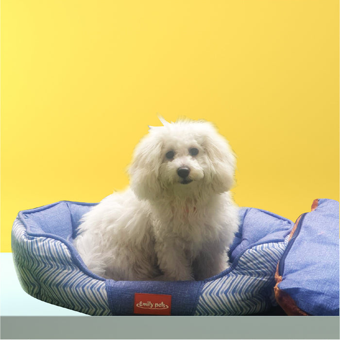 Self Warming & Calming Bed For Dogs & Cats (Blue)