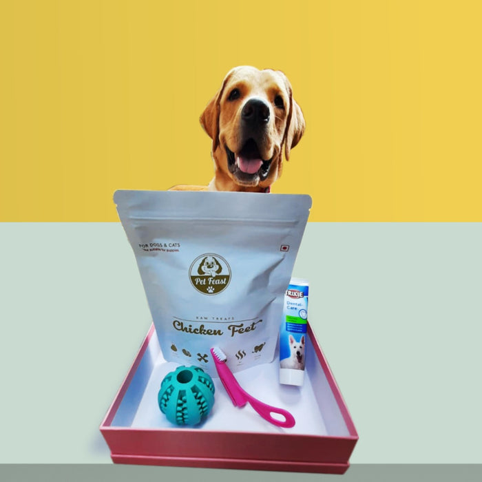 Petfeast Dog Dental Care Hamper with Raw Treats
