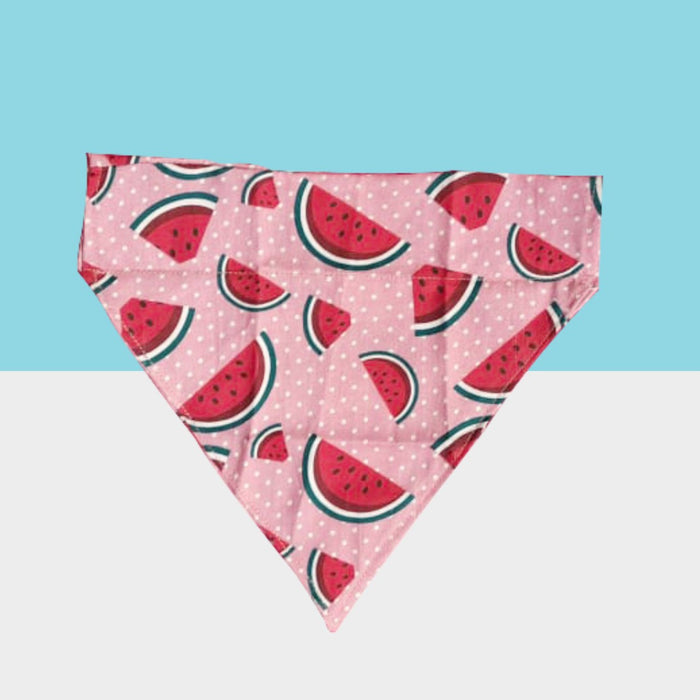 Watermelon Print Bandana
