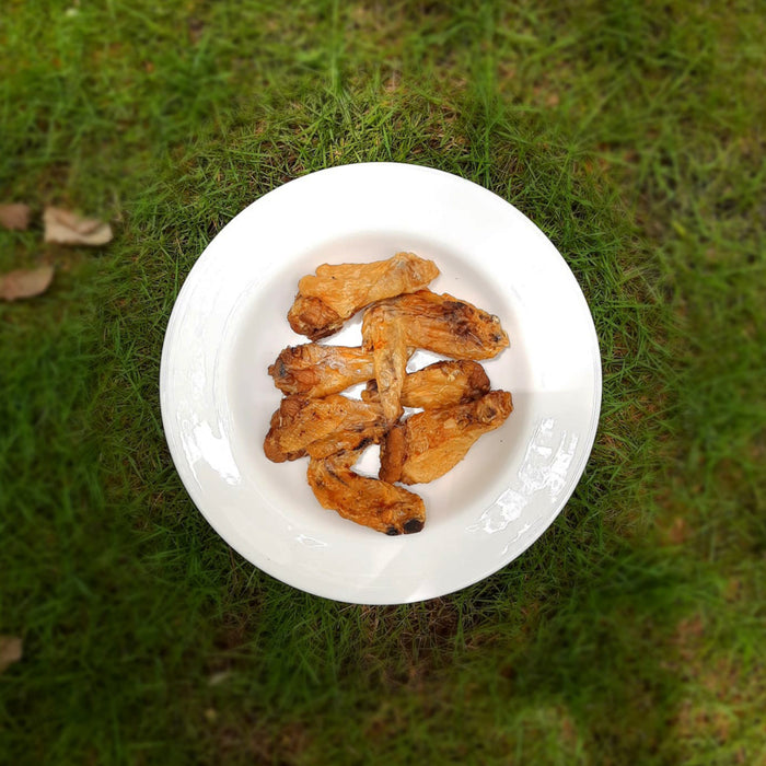 Petfeast Raw Treats - Chicken Wings