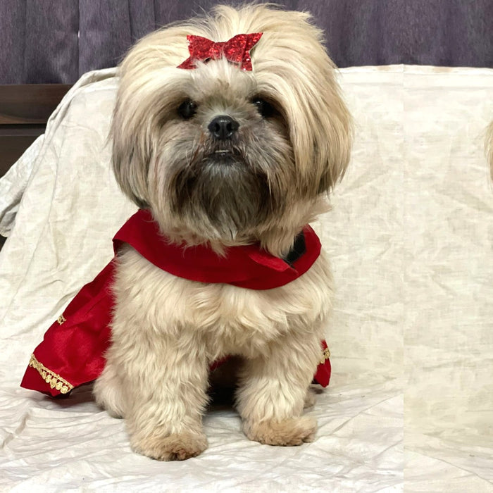 Red Satin Dress for Dogs