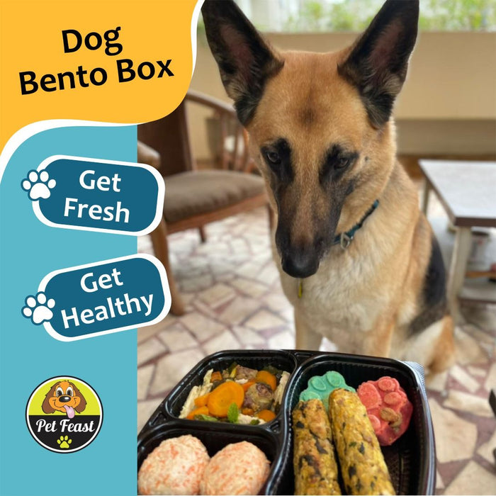 Dog Bento Box
