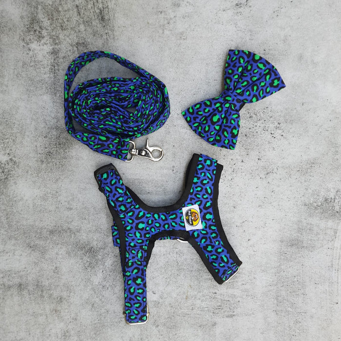 Animal Print Bow, Harness Leash Set - Blue