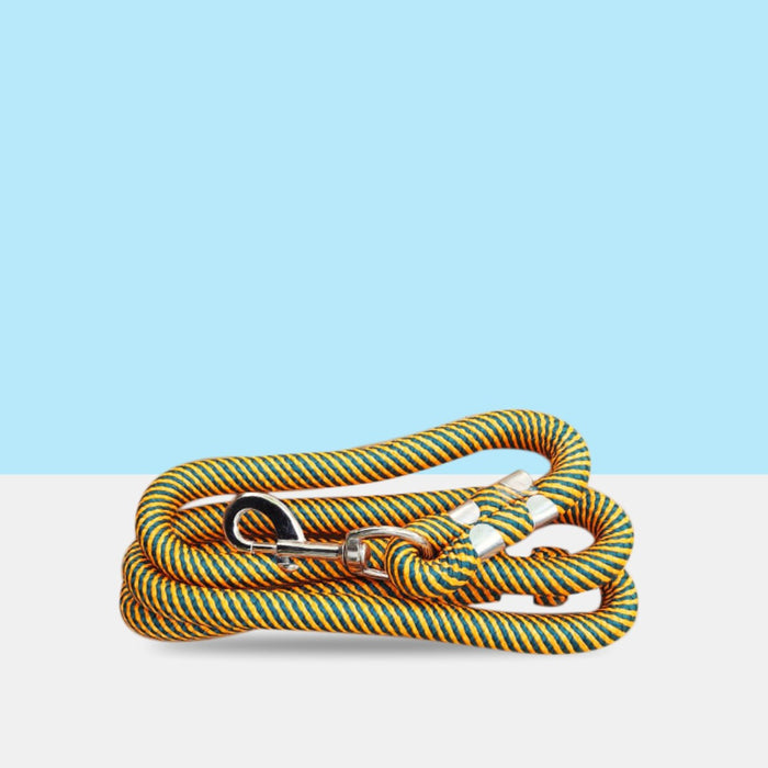 Stylish Nylon Yellow Rope Dog Cord Training Leash