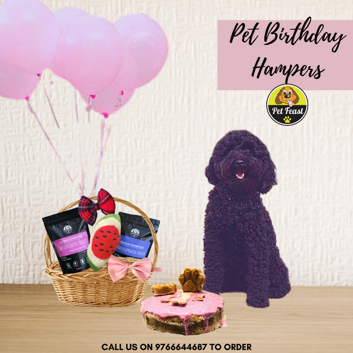 Petfeast Birthday Dog Hamper (Cake & Treats& Bow & Toy) - petfeastindia